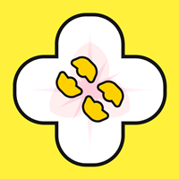 桂花网 桂花网
