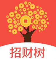 招财树 招财树