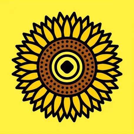 太阳花 太阳花