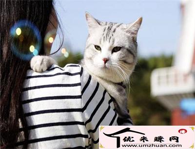 有气质的女生个性签名，精致美好（精选20句） 第2张