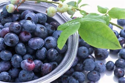 蓝莓的功效与作用（蓝莓的常见吃法和做法） 第1张