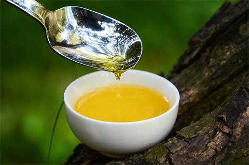 山茶油的功效与作用，以及常见食用方法有哪些盘点！ 第1张